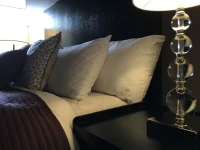 Hotel Del Sol, Boutique Phoenix Airport 