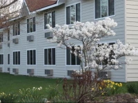 Parkwood Lodge 