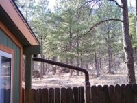 Elden Trails Bed and Breakfast 
