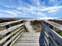 510 W Ashley-Mountain to Sea 