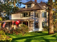 Miller Tree Inn Bed and Breakfast 