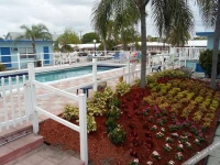 Dolphin Harbor Inn 