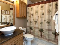 Hibiscus Pointe 461 