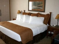 Best Western Plus By Mammoth Hot Springs 