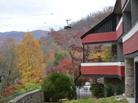 Chalet Inn 