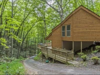 Hidden Bear #134 Holiday home 