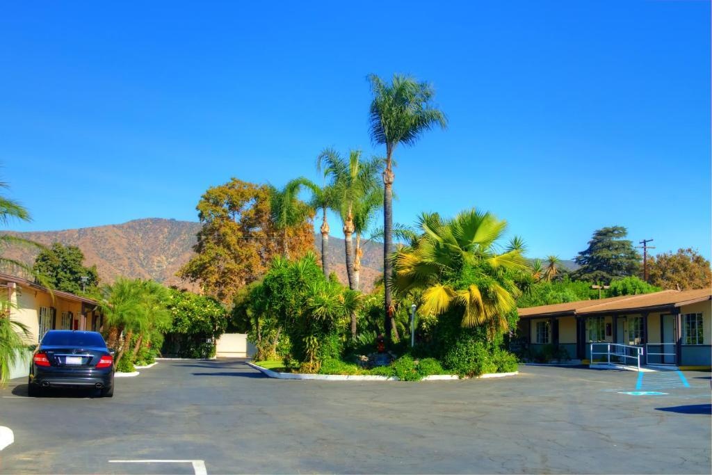 Palm Tropics Motel 