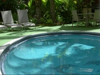 Waikiki Condo Rental - Hawaiian King 