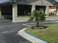Americas Best Value Inn Greenville 
