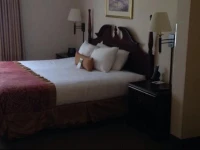Wingate By Wyndham - Greenville 