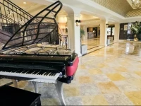 Delamar Greenwich Harbor 