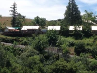 Priest Station Cafe & Cabins 
