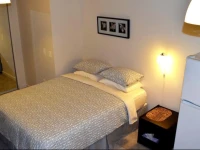 Detroit Vacation Rentals 