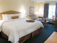 Hampton Inn & Suites New Orleans/Elmwood 
