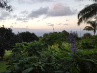 Aloha Cottage 