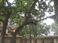 Hempstead Country Inn & Suites 
