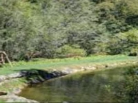 Mitchells Lodge and Cottages 