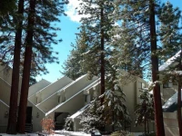 Alder AvenueApartment 