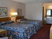 Apple Blossom Inn 