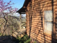 Eagles Nest Cottages 