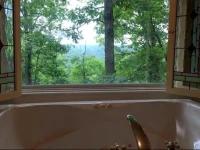 Ozark Spring Cabins 