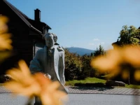 Torfhaus HARZRESORT 4*