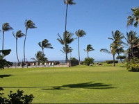 Molokai Shores 121