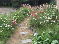 Kenai River Bluff Bed & Breakfast 