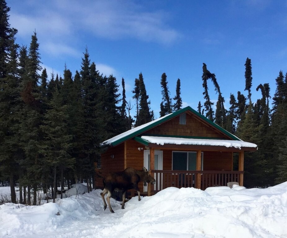 Salmon Catcher Lodge 3*