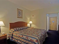 Americas Best Value Inn and Suites Bush International Airport 