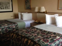 Forest Hill Inn Hazleton 