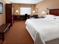 Sheraton Herndon Dulles Airport Hotel 