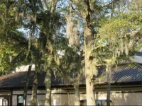 Ramada Hilton Head Island 