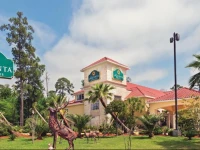 La Quinta Inn & Suites Houston Kingwood Medical 