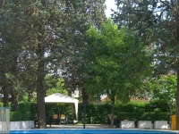 New Tiffanys Park 4*