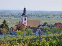 Zum Kronprinzen 