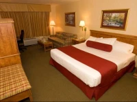 Best Western Braddock Inn 