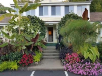 Bay Top Motel 3*