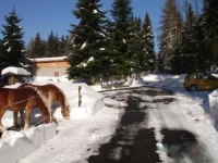Ferienwohnung am Spitzberg 