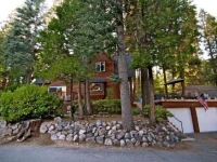 Honey Bear Lodge 