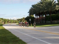 Palm Beach Waterfront Suites 