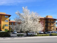 Oxford Inn & Suites Lancaster 