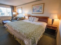 Albany Airport Hotel 