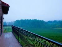 Holiday Inn Express Hotel & Suites Lexington North West-The Vineyard 
