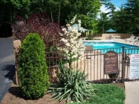 Tall Pines Motel 