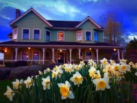 The Edenwild Boutique Inn 