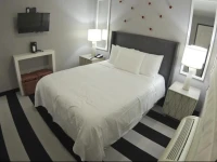 Hollywood Le Bon Hotel 
