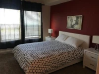 Luxury Apartment Near The Grove 