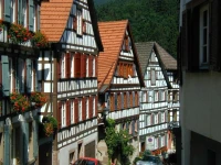 Hotel-Gasthof Zum Weyssen Rossle 3*