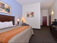 Comfort Inn Lumberton 